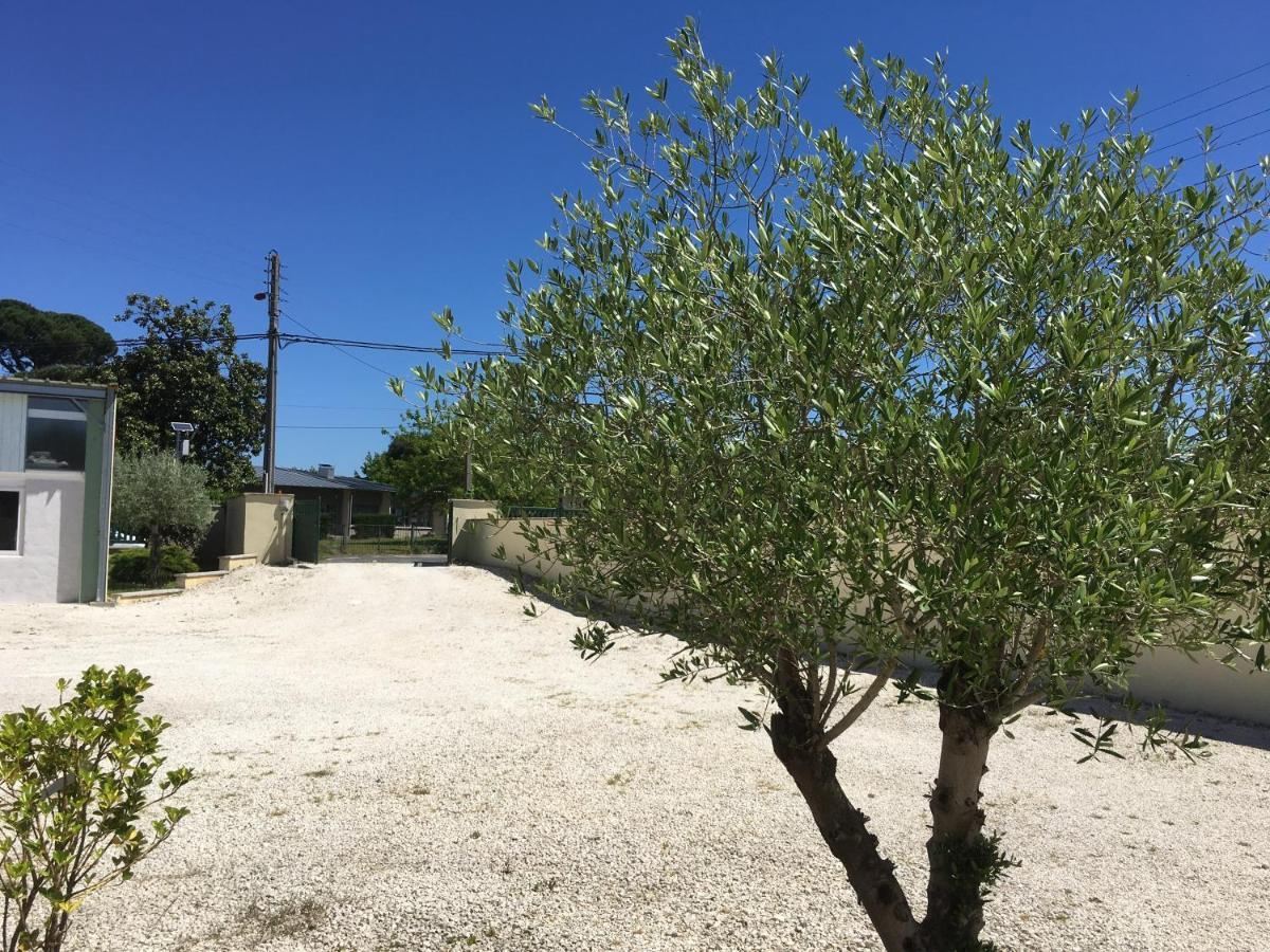 Une Pause A Bergerac Dış mekan fotoğraf